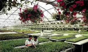 1495339372781715.jpg 微信圖片_20170521120216.jpg