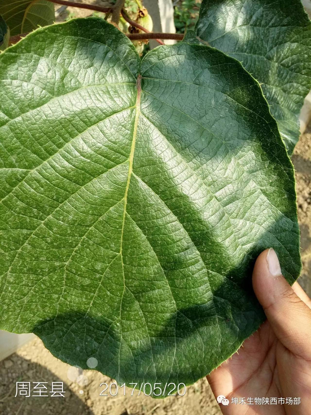 1495693619117407.jpg 微信圖片_20170525142327.jpg