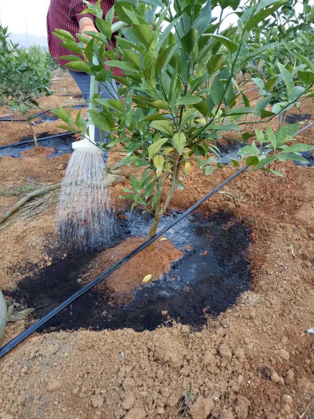 1527753751455276.jpg 微信圖片_20180425100923.jpg