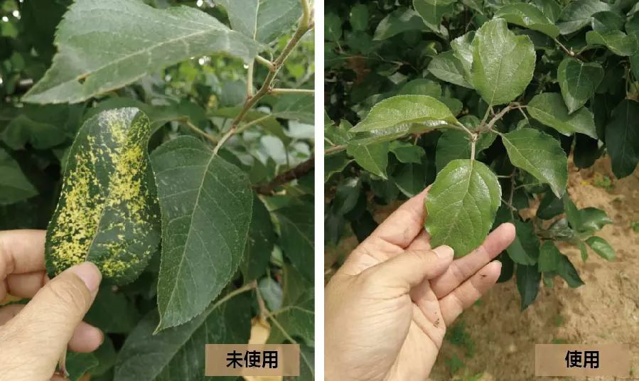 1529735191574990.png 微信圖片_20180623142415.png