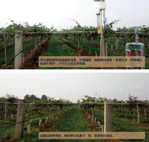 1529735307734853.png 微信圖片_201806231424154.png