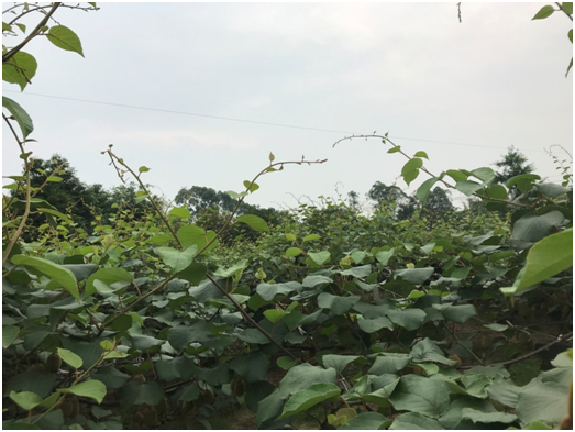 1583199527285491.png WXU81`$C91XPYD8WS6%NVDD.png