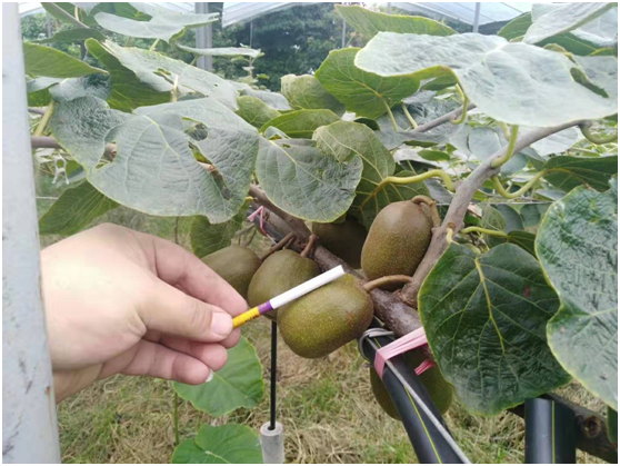 1583200787946608.png TG`3ZZ3ASXP3W8FZEHO9WLL.png