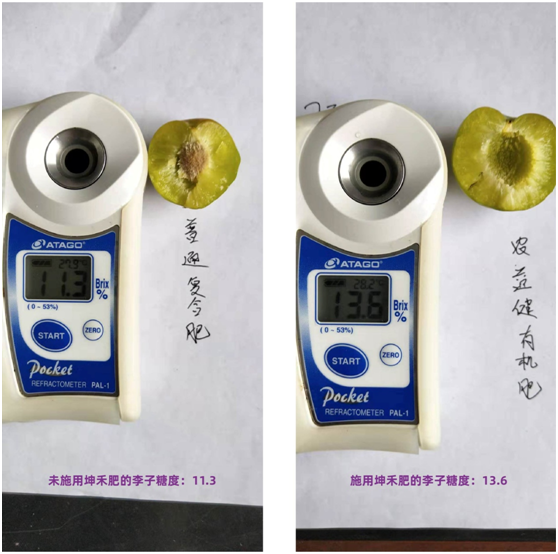 1583208602179065.png K9QKCWXX[DR8)13$OMOVVQ4.png