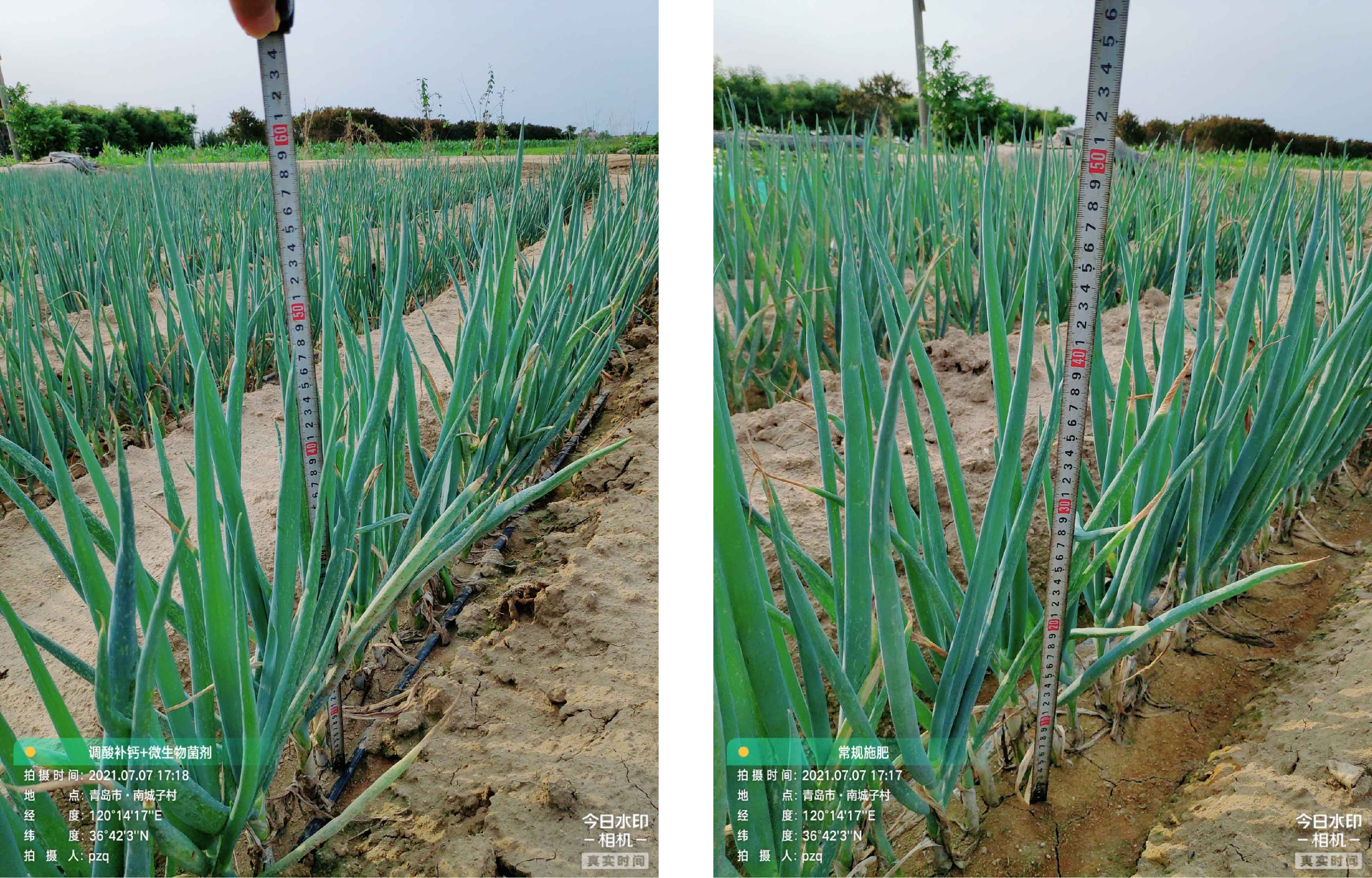 1628733836714921.jpg 12-01.jpg