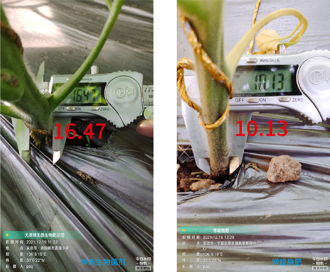 1652671222697306.jpg 6-01.jpg