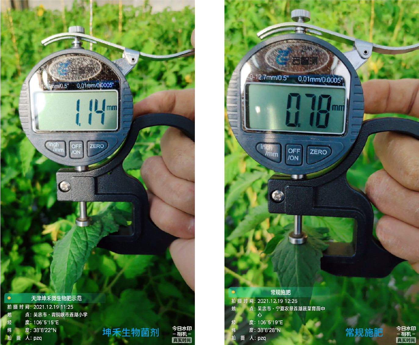 1652671248646970.jpg 8-01.jpg