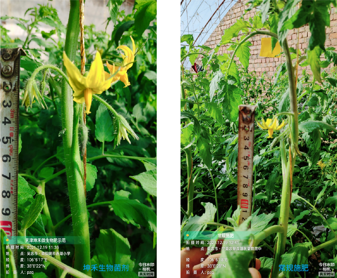 1652671327696383.jpg 13-01.jpg