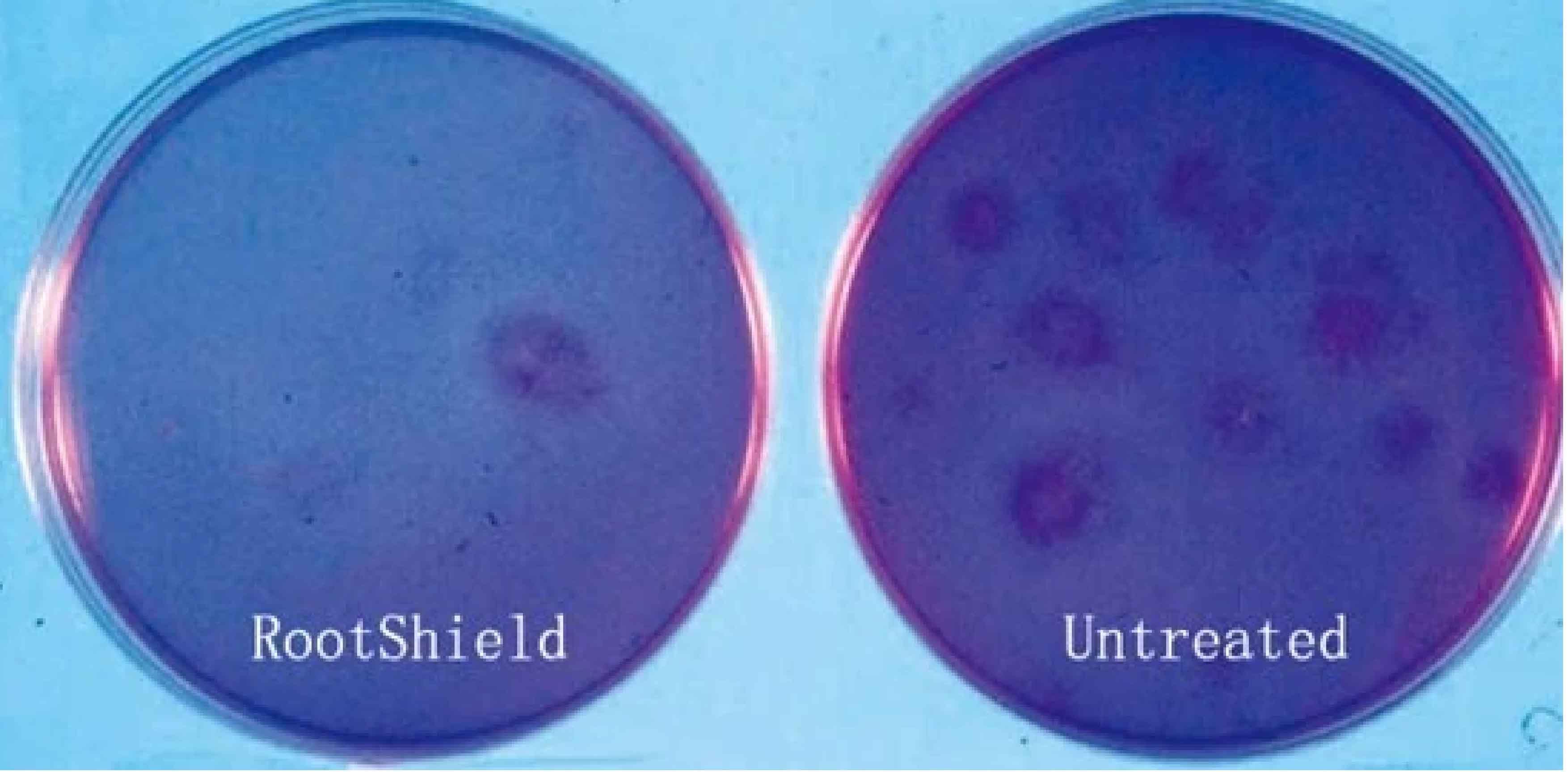 1664507176234926.jpg 2.2-01.jpg