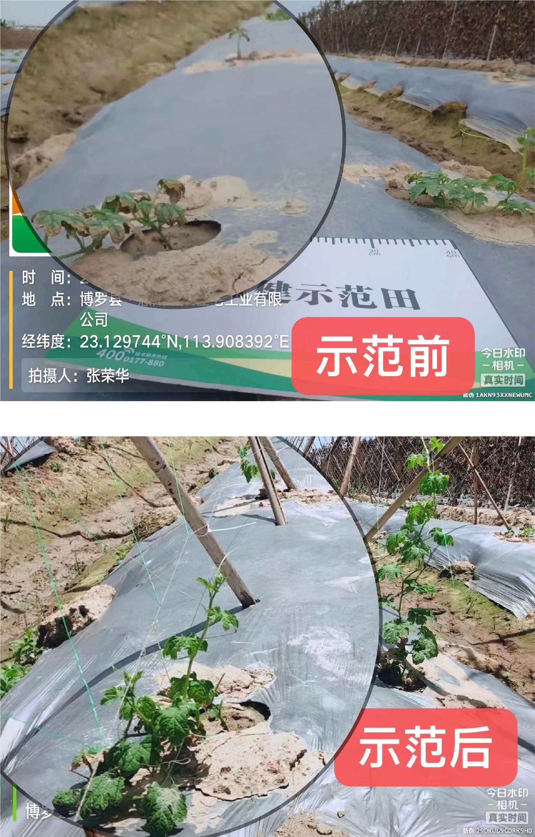 1664507729913946.jpg 3-01.jpg