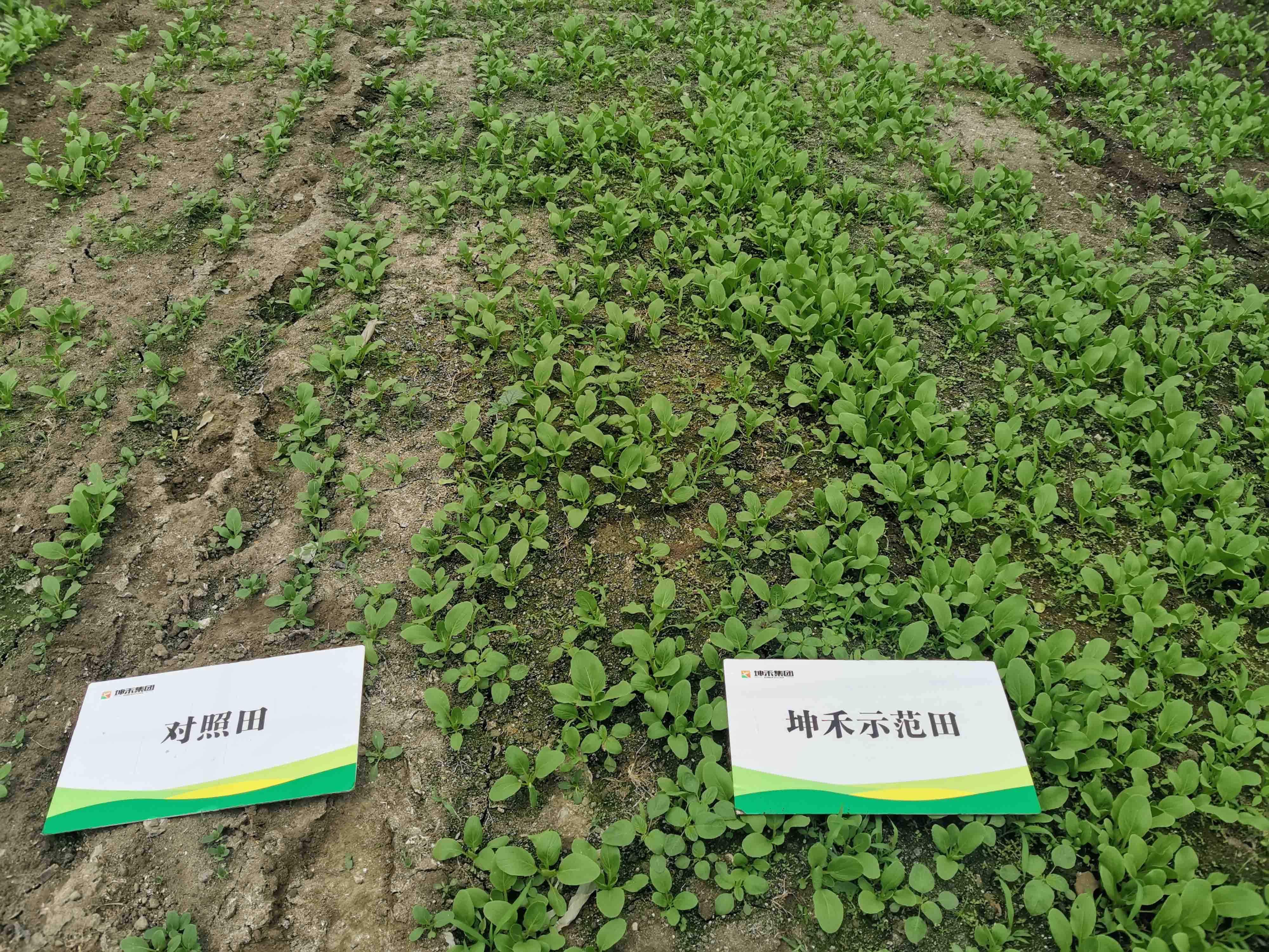 1672885914782326.jpg 微信圖片_20220516110242.jpg