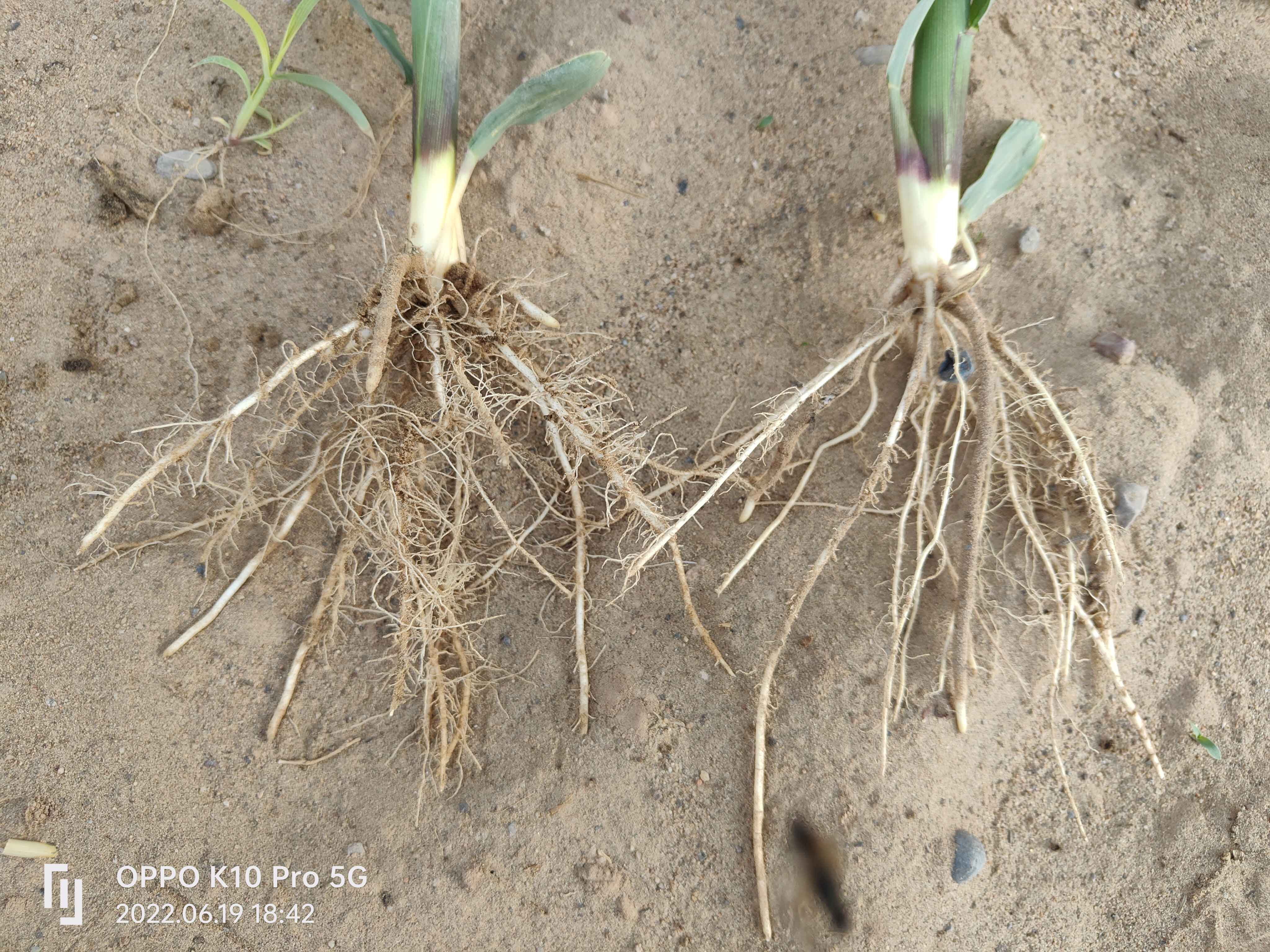 1672886529185413.jpg 微信圖片_20220712084224壓縮.jpg