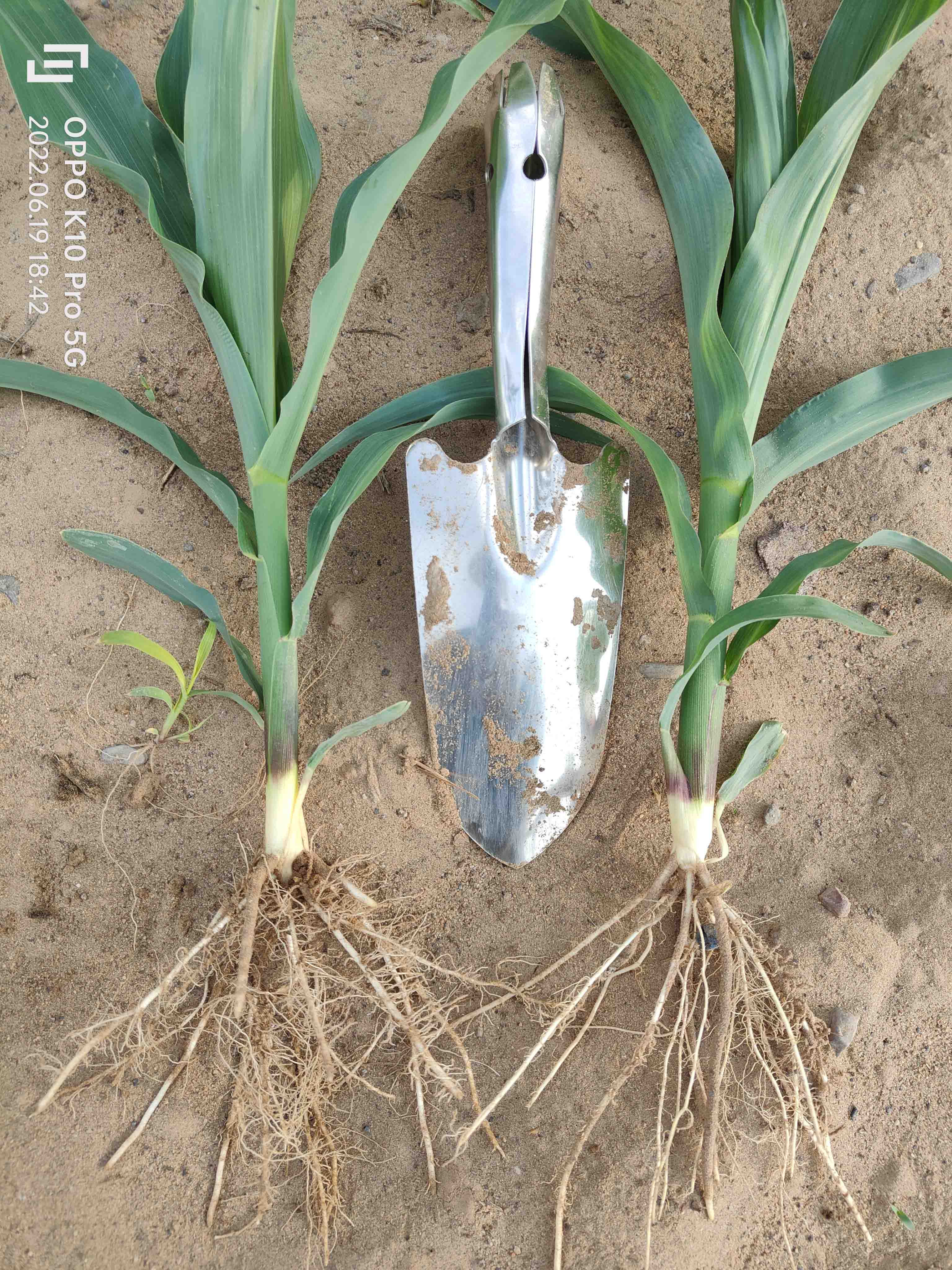 1672886571740519.jpg 微信圖片_20220712084320壓縮.jpg