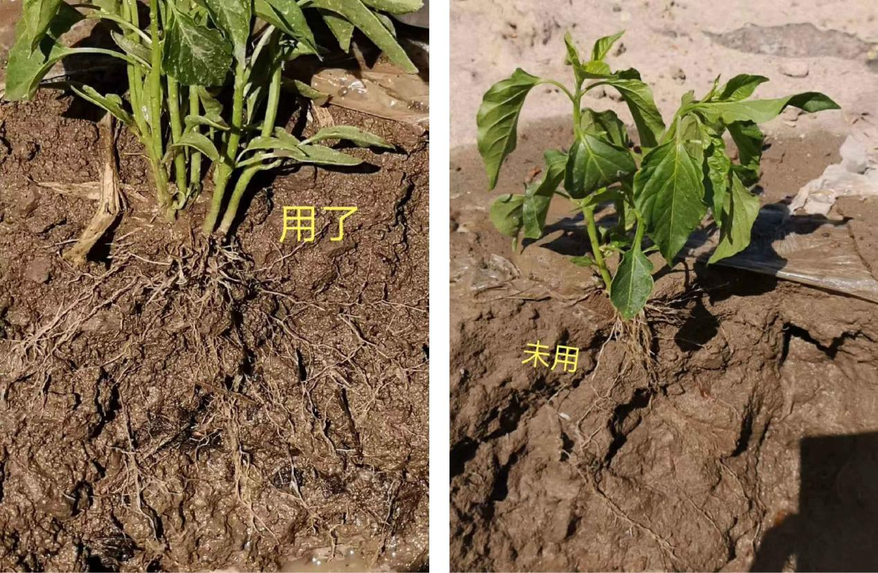 1683615676309644.png 圖片3.png